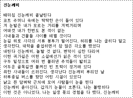 진눈깨비