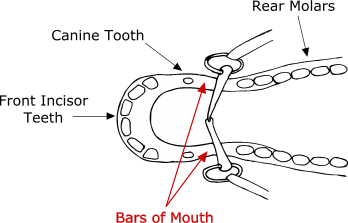 Bars of Mouth